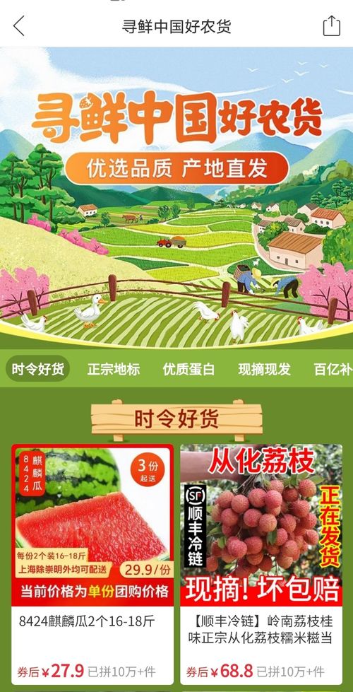 原產地的味道 攜手拼多多,夏邑西瓜打響好農貨品牌