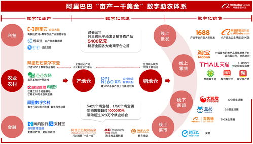 天貓雙11已累計助銷1406個縣域的41萬款農產品